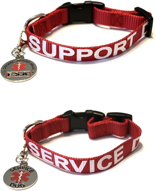 ALL ACCESS CANINE Service Dog and Emotional Support Animal
