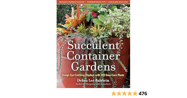 Succulent Container Gardens Design Eye Catching Displays With 350 Easy Care Plants Baldwin Debra Lee Amazon Com Books