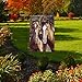 Briarwood Lane Tango & Cash Horses Garden Flag Everyday Meadow 12.5