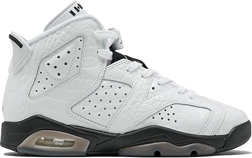 air jordan retro 6 gs