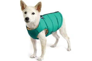 Gooby Padded Vest Dog Jacket - Solid Turquoise, X-Small - Warm Zip Up Dog Vest Fleece Jacket with Dual D Ring Leash - Water Resistant Small Dog Sweater - Dog Clothes for Small Dogs and Medium Dogs