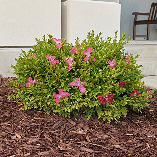 Smart Solar 3705MR20 Solar Light String, 20 Multi Color LEDs with Translucent Butterfly Covers Powered By A Separate Amorphous Solar Panel Allowing Lights To Be Placed In Shady Areas - Thumbnail 2