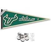 College Flags & Banners Co. South Florida Bulls Pennant Flag and Wall Tack Mount Pads