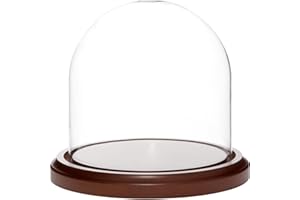 Plymor 5.5 inch x 5.5 inch Glass Display Dome Cloche (Dark Wood Base)