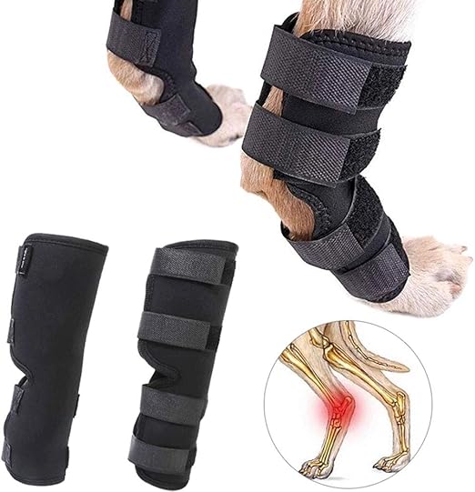 XXDYF Pet Sprunggelenk Schutz Bandage Supportive Hund Canine Hinterbein