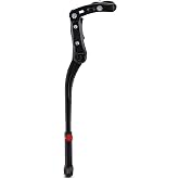 Schwinn Rear Mounted