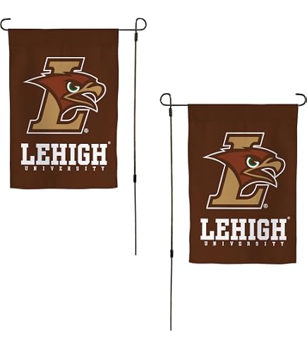Jardine Lehigh Mountain Hawks 11'' X 20'' Indoor/Outdoor In This House Sign Brown