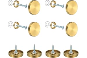 YELARXI Mirror Screws 304 Stainless Steel Decorative Caps Cover Nails Fasteners, 30mm Brushed Finish Fit for Mirror Sign Advertising Hardware (8Pcs, Gold)