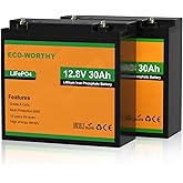 ECO-WORTHY LiFePO4 Battery 30AH 12V(2 Packs), Built-in 30A BMS, Deep Cycle Rechargeable Lithium Battery, Perfect for Mobilty 