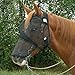 Cashel Quiet Ride Long Nose Large Pony/Yearling Fly Mask (QRYL), Black