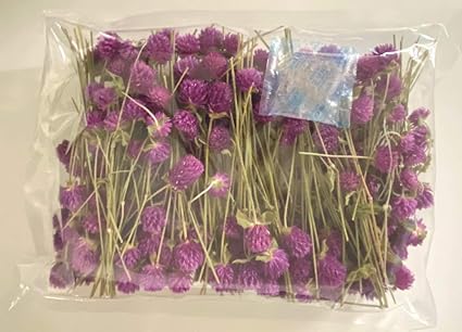 Amazon Co Jp 業務用ドライフラワー ドライフラワー 千日紅 ローズネオン ハーバリウム ウェルカムボード 結婚証明書 作りに最適 100輪以上 家電 カメラ