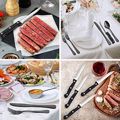 LIANYU 48Piece Black Silverware Set with Steak Knives, Stainless Steel Flatware Cutlery Set for