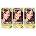 Garnier Hair Color Nutrisse Nourishing Creme, 452 Dark Reddish Brown (Chocolate Cherry) Permanent Hair Dye, 3 Count (Packaging May Vary)