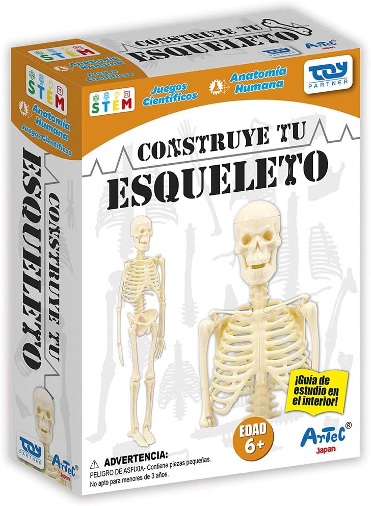 Artec Educational Bone Assembly Kit and Study Guide