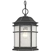 Dolan Designs One Light Outdoor Hanging Pendant 9232-68