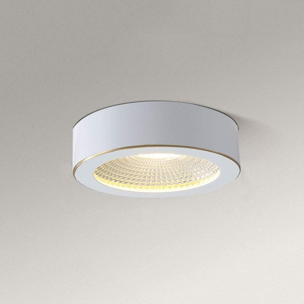 Modern Ceiling Spotlight, LED Ceiling Light Indoor Downlight, White