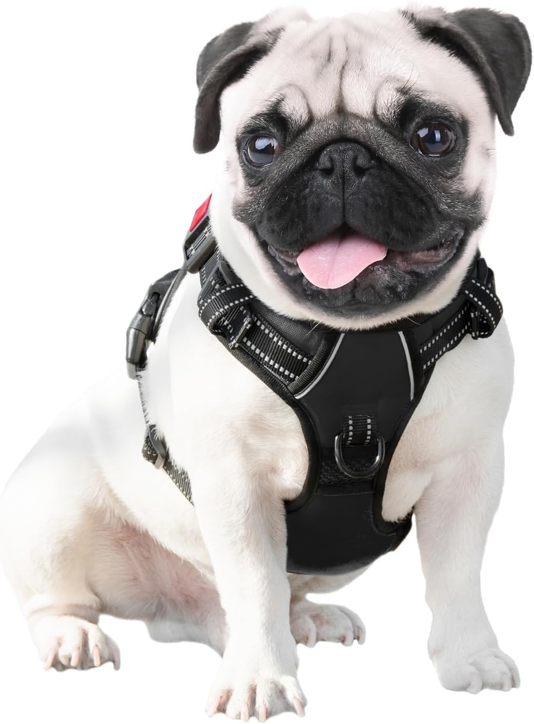 DASH X Dog Harness, No Pull Dog Harness for Large Dogs, Front Clip Dog Vest Harness Adjustable, Reflective No-Choke Breathable with Easy Control Handle (BLACK, SMALL (Neck:32-49cm, Chest:34-63cm))