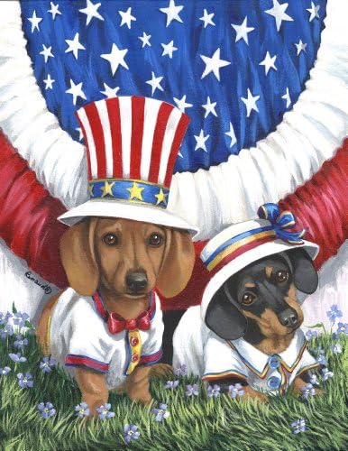 Dachshund USA-GF