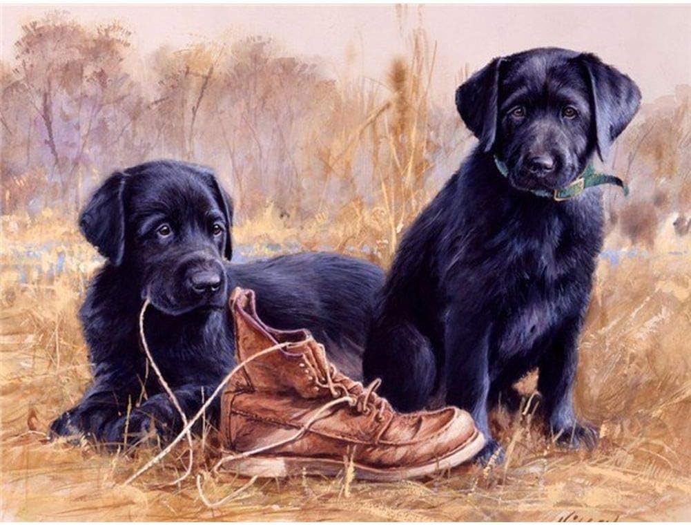 Diamond Painting Kit for Adult 5D DIY Full Round Drill Diamond Painting Sets Arts Craft for Home Decor Black Dog 15.7x11.8in Pack by May Bob