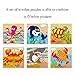 Rolimate Educational Wooden Cube Block Travel Jigsaw Puzzles - Dolphins Octopus Turtles Crabs Sharks Lobster, Birthday gift toy for age 3 4 5 Years Old and Up Toddlers Kids Baby Children Boys Girls