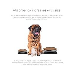 Pet Parents® Washable Belly Bands for Male Dogs