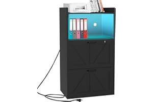 BTDWI 2 Drawer Lateral File Cabinet with Charging Station, Wood Filing Cabinet with Lock & LED Light, Large Storage Printer Stand for Home Office, Black