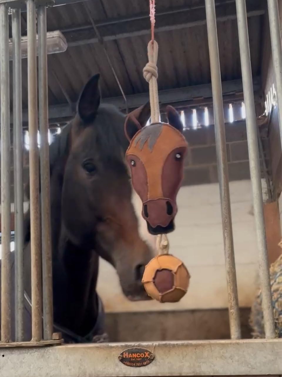 Ruggles Horse Stable Toy | Boredom buster for horse pony donkey (Horse Head)