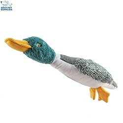 Best Pet Supplies Interactive Squeaky Dog Chew