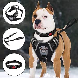 TIANYAO - Arnés para perro sin tirar, reflectante y ajustable, material  Oxford, arnés para mascotas para perros grandes con correa y cuello, Negro,  L : Amazon.com.mx: Productos para animales