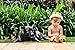 Wild Gold Max Crown Pleather Fur Play Boys Girls Dress Up Birthday Party Cake Smash Things