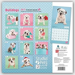 Bullish for Bulldogs - Bulldoggen 2017 - 18-Monatskalender