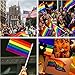 20 Piece Set of Mini Rainbow Flags - 8