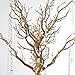 BalsaCircle 30 inch Tall Gold Glittered Manzanita Tree with Acrylic Garlands - Wedding Decorations Tabletop Home Decor Centerpieces Party Supplies