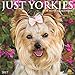 Just Yorkies 2017 Calendar