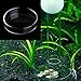 Misciu Aquarium Fish Tank Shrimp Feeding Food Dish Bowl Feeder Tray Container Glass Shrimp Feeding Dish for Shrimp Food