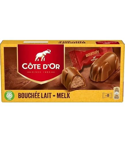 Amazon.com : Cote d'Or Chocolate | Cote dOr Praline Milk Hazelnut