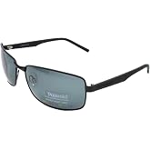 Polaroid Men's PLD 2045/S Rectangular, Black Sunglasses