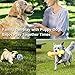 SZKOKUHO Dog Chew Toys Puppy Teething Cotton Rope Toy Gift Set Natural (6 Pack)