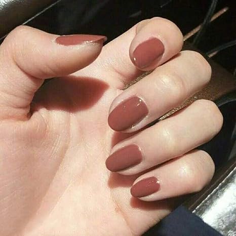 Amazon Co Jp Zyss ネイルステッカー短楕円false爪バレリーナアクリルfalse爪先端のシ爪24ィ 男用と女用 茶 ホーム キッチン