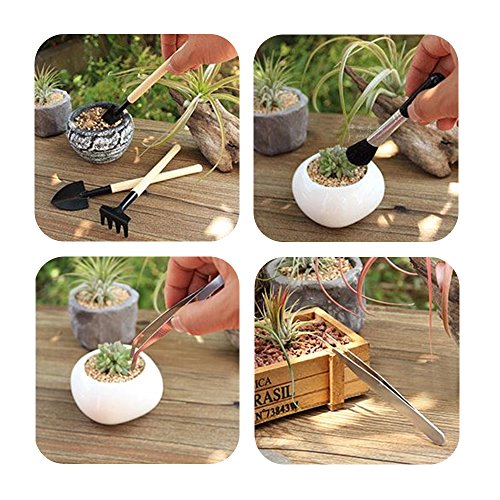 Homagty 14 Pcs Transplanting Tools, Mini Garden Succulent Tool Small Gardening Hand Tools Set for Indoor Miniature Fairy Garden Plant Care - Thumbnail 6