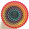 Flyesto Set of 7 Round Cookie Cutter Sporting Shape Biscuit Cutters Mold Nylon BPA Free Multi-colored Double-Sided Biscuit Cutters in Different Size, Great For Kids