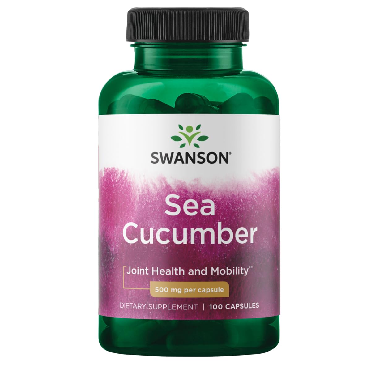 Sea Cucumber