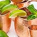 HardCraft Handcrafted and Hammered Finish Copper Moscow Mule Mugs with Jigger and Cocktail eBook, 16 oz. (Set of 2)
