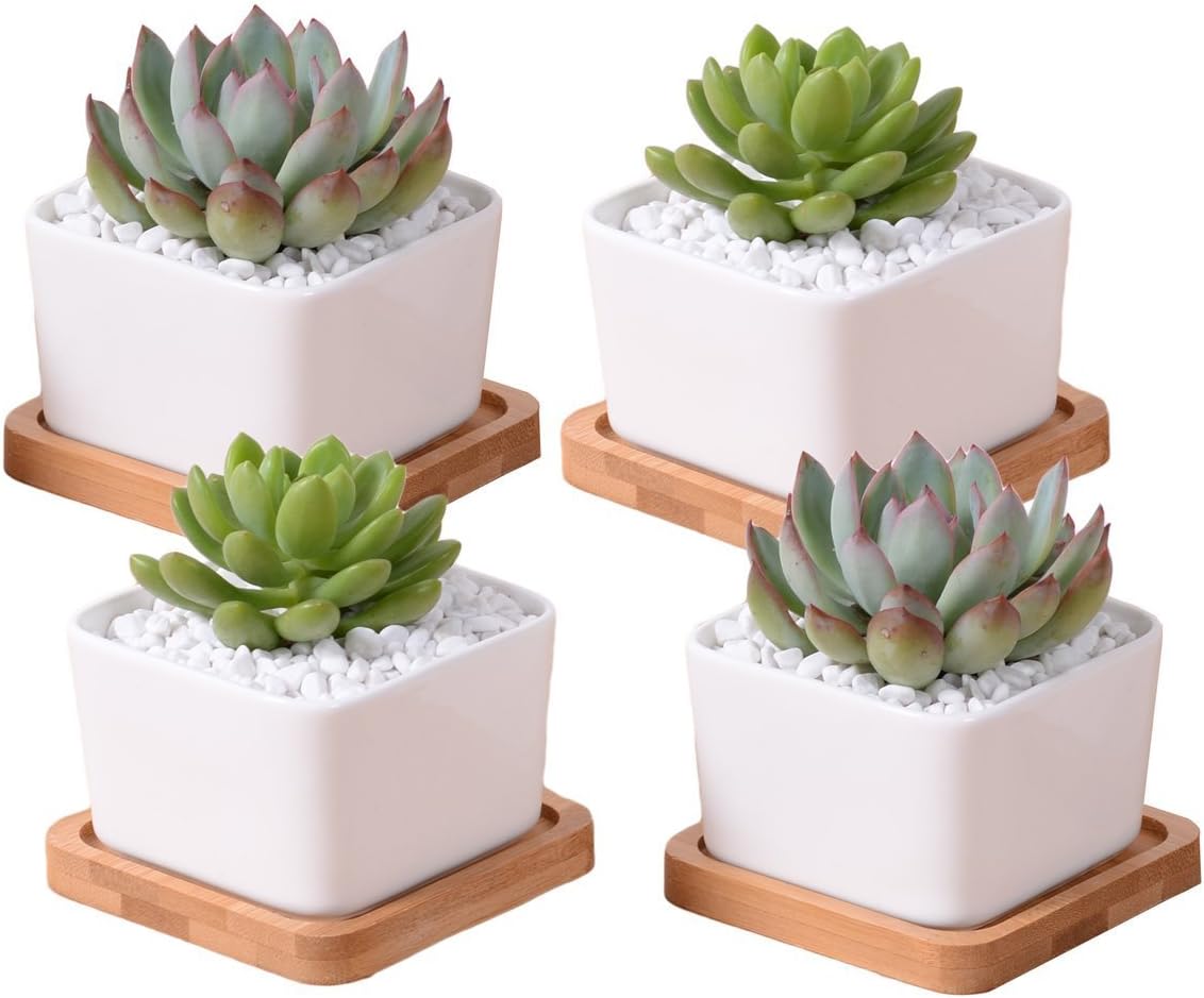 Rczh 3.4 Inches White Bonsai Pots with Saucers, Ceramic Mini Succulent Plant Pots with Hole - Pack of 4