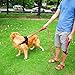 Dog Leash 6ft Long Traffic Padded Two Handle Heavy Duty Double Handles Lead for Training Control 2 Handle Leashes for Large Dogs or Medium Dogs Reflective Pet Leash Dual Handle Red