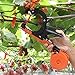 FUNTECK Plant Tying Machine to Tie Tomatoes Peppers and Cucumbers Quickly and Easily, Great for Gardeners Farmers, Including Spare Parts, Tapes and Staples, Green