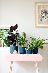elho Vibes Fold Round 16 Indoor Plant Pot 100% Recycled Plastic Blue view 6
