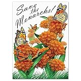 Set of 25 Butterfly Milkweed Seed Packet Favors 