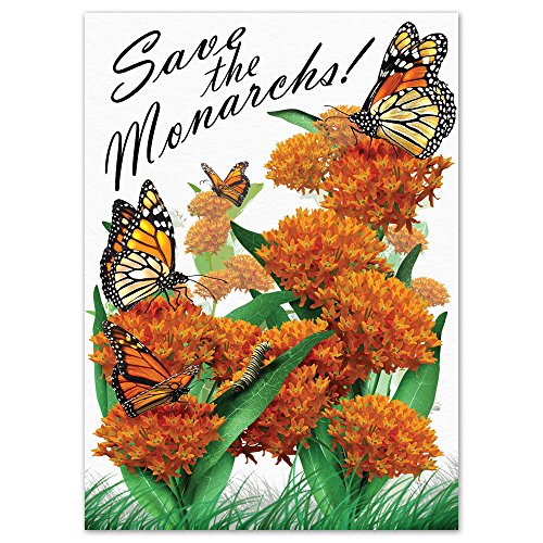 Set of 25 Butterfly Milkweed Seed Packet Favors 