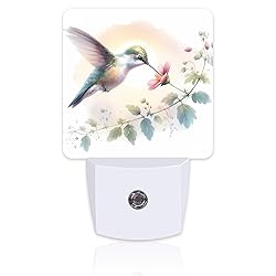 Groovy Hummingbird Flower Night Light for